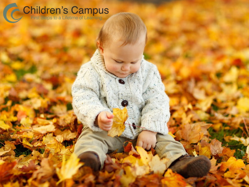 fall activities for toddlers