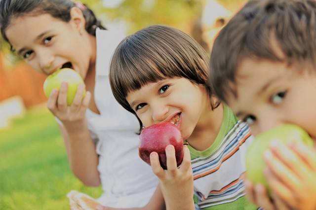 Preschool Greenville North Carolina