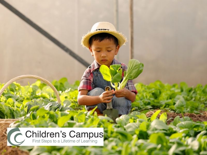preschooler activities nc