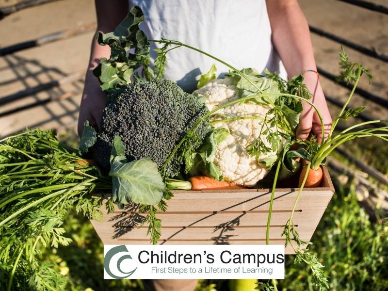 gardening with toddlers greenville nc