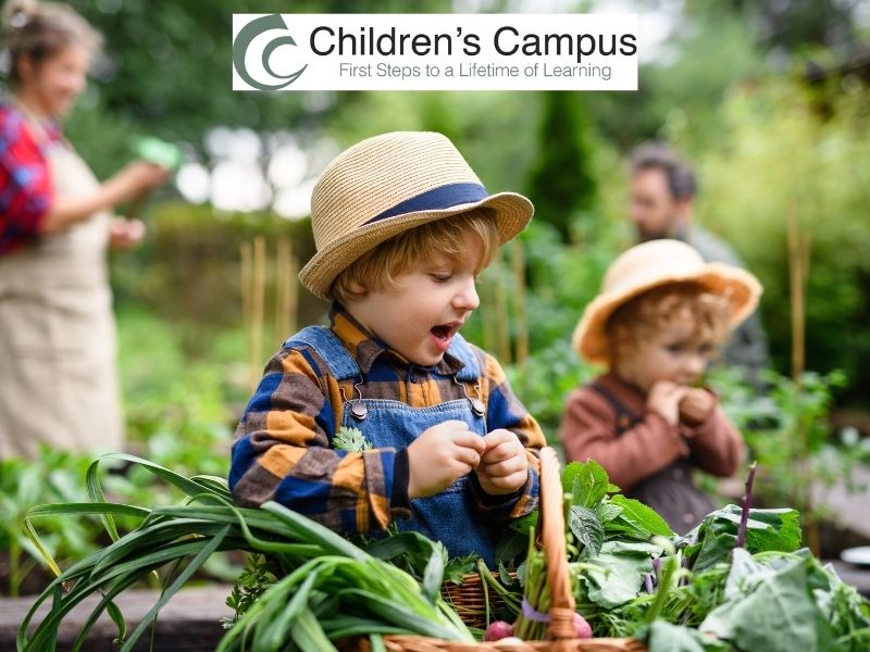 greenville nc preschool vegetable garden